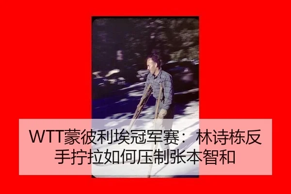 WTT蒙彼利埃冠军赛：林诗栋反手拧拉如何压制张本智和